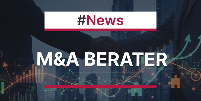 Statistik Mergers & Acqusitions Berater